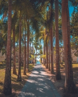 Shandrani Beachcomber Resort & Spa