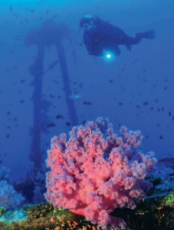 Beachcomber Diving