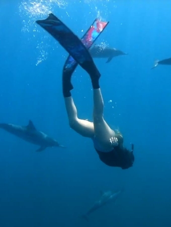 Swimming with dolphins
